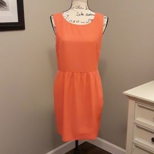 J Crew Sleeveless Shift Dress